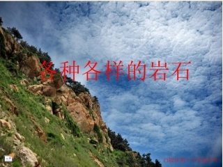 四年级科学-各种各样的岩石123(3).