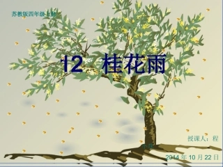 公开课桂花雨
