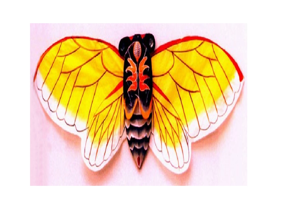 《风筝的魅力》课件1_第3页