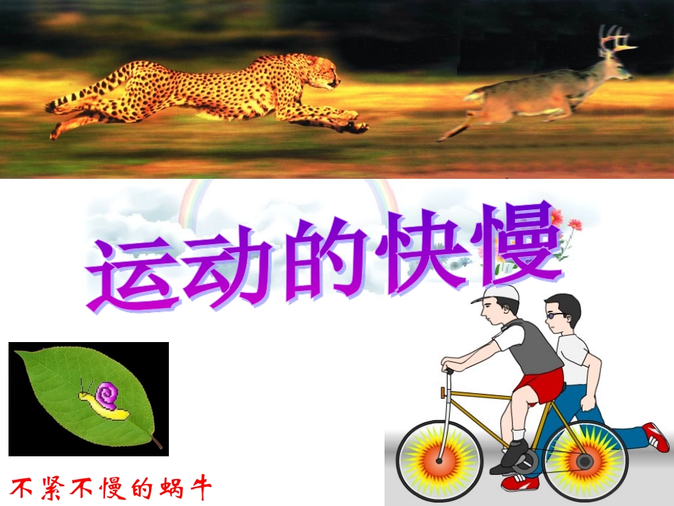 运动的快慢课件._第1页