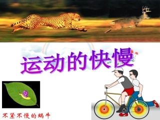 运动的快慢课件.
