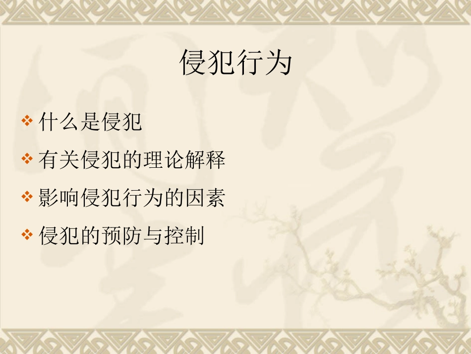 社会影响和社会行为-侵犯行为与亲社会行为_第2页
