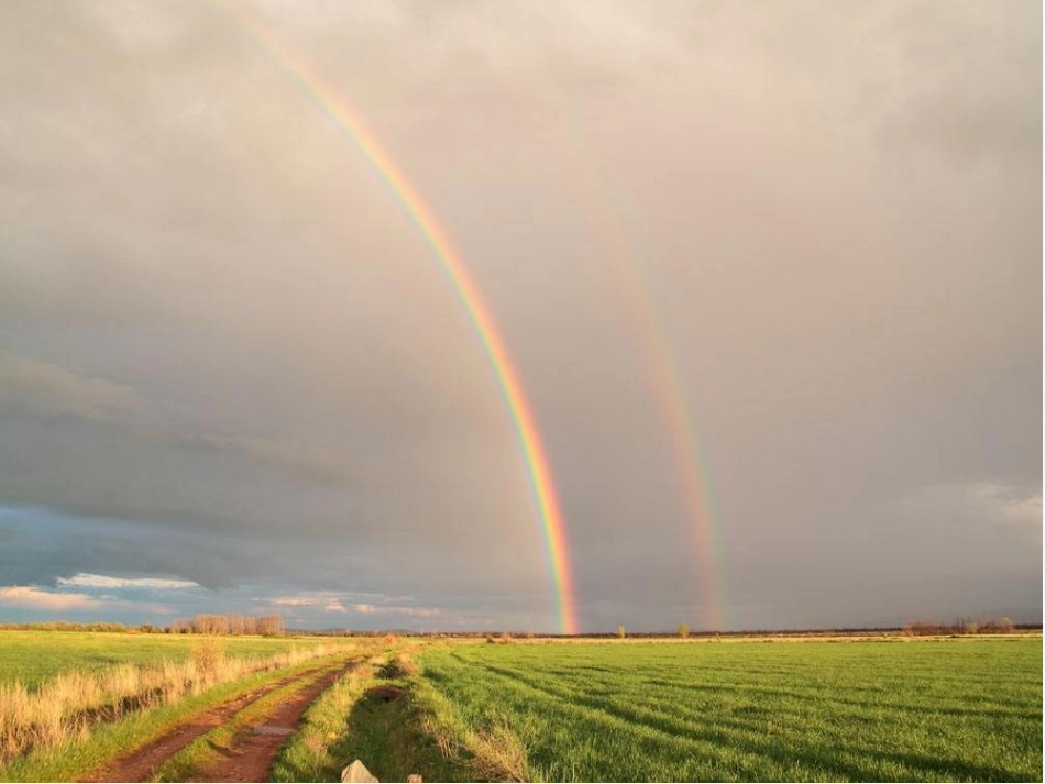 (部编)人教语文2011课标版一年级下册彩虹第二课时_第3页