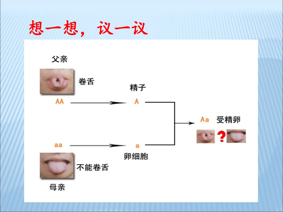 基因的显性与隐性._第3页