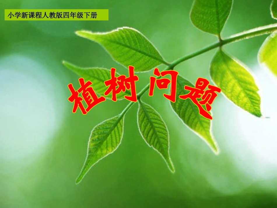 植树问题说课课件_第1页