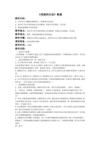 《美丽的生命》教案1