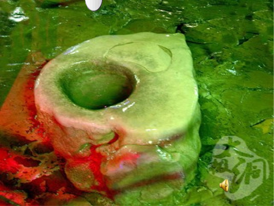 《滴水穿石的启示》-(好)_第2页