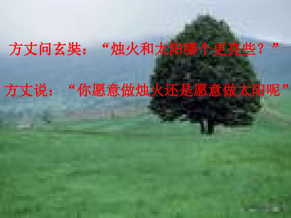 生命的林子1_第3页