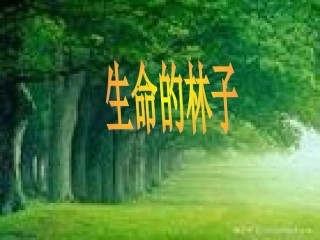 生命的林子1