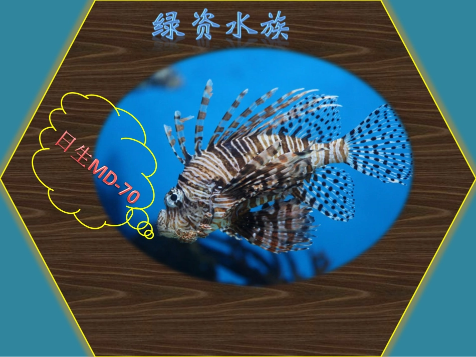 21-日生MD-70水泵-气泵-增氧泵-抽水泵-鱼池泵报价_第1页