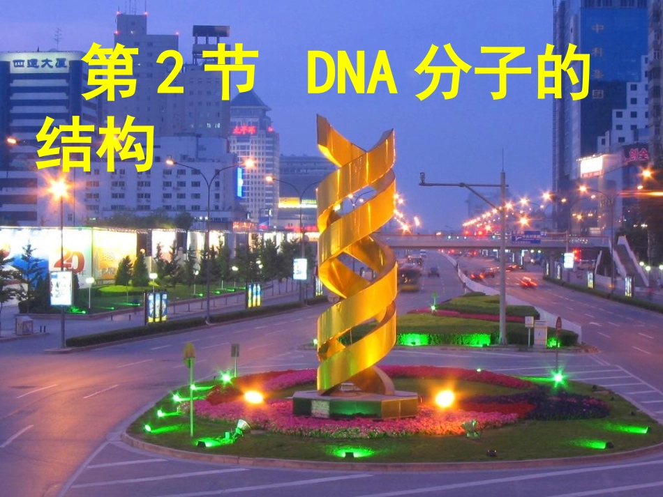 DNA分子的结构计算全部_第1页