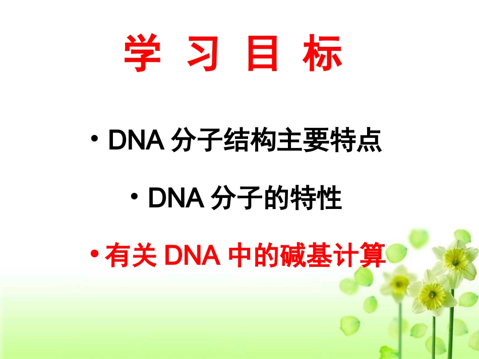 DNA分子的结构计算全部_第2页