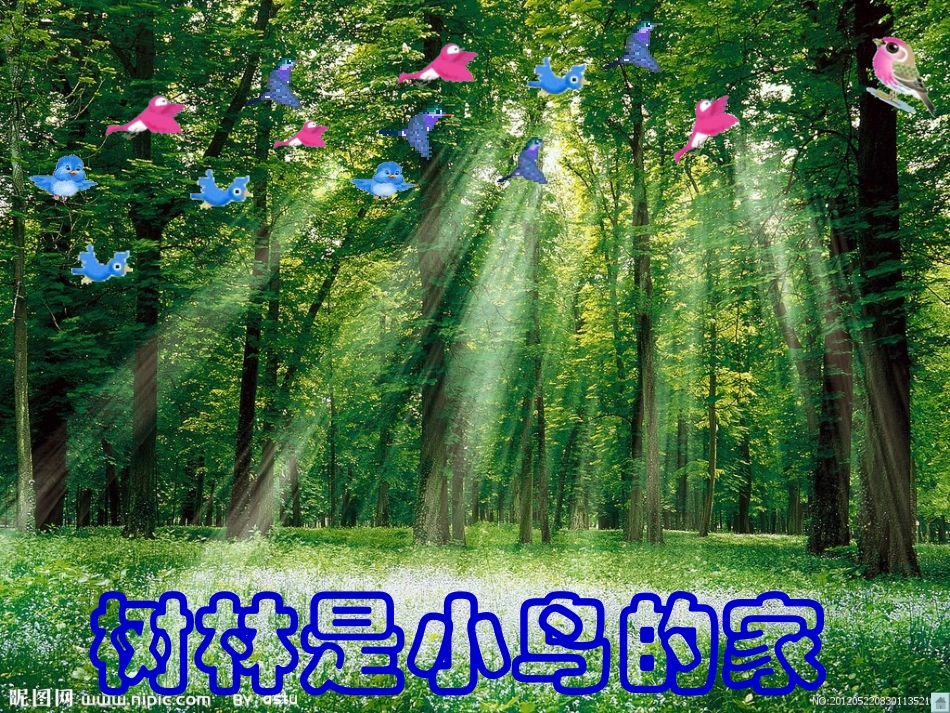 “蓝天和森林”课件1_第3页