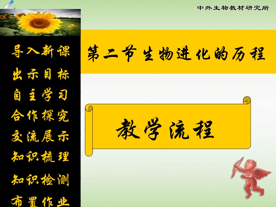 生物进化历程课件王金玲_第3页