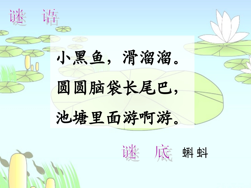 1-1小蝌蚪找妈妈-课件_第1页