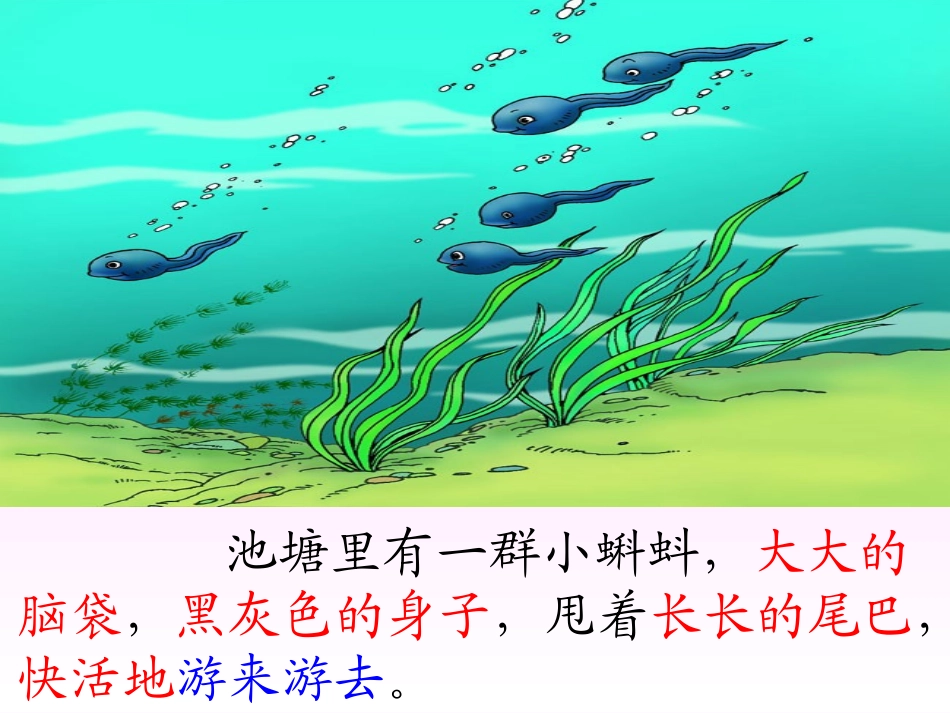 1-1小蝌蚪找妈妈-课件_第2页