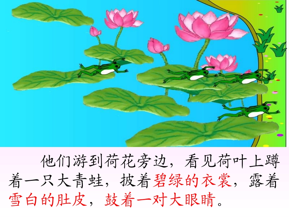 1-1小蝌蚪找妈妈-课件_第3页