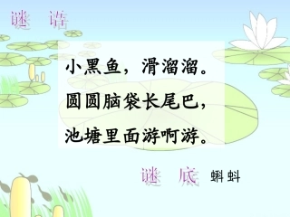 1-1小蝌蚪找妈妈-课件