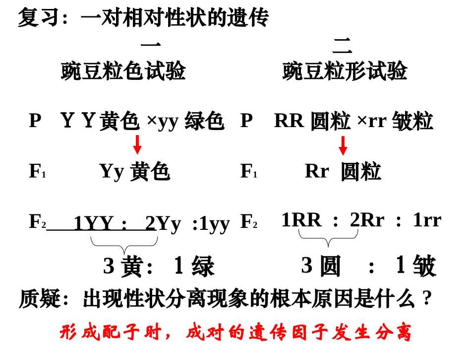基因的自由组合定律_第2页