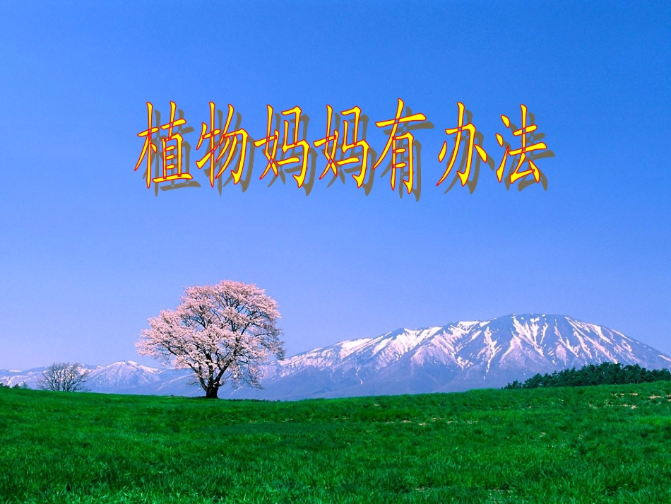 3植物妈妈有办法_第1页