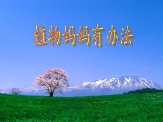 3植物妈妈有办法