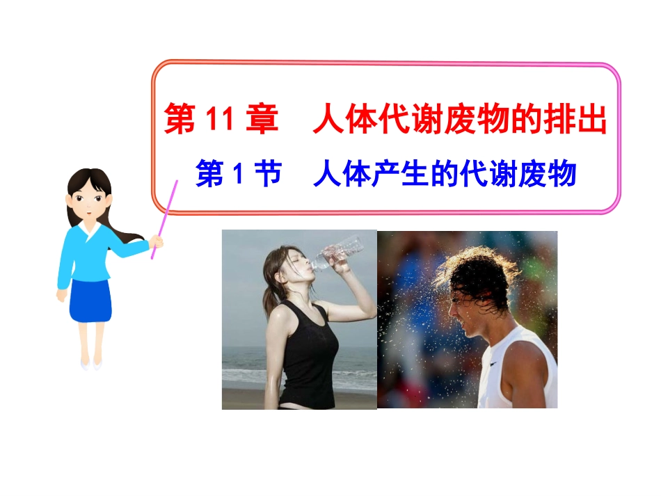 11.1人体产生的代谢废物_第1页