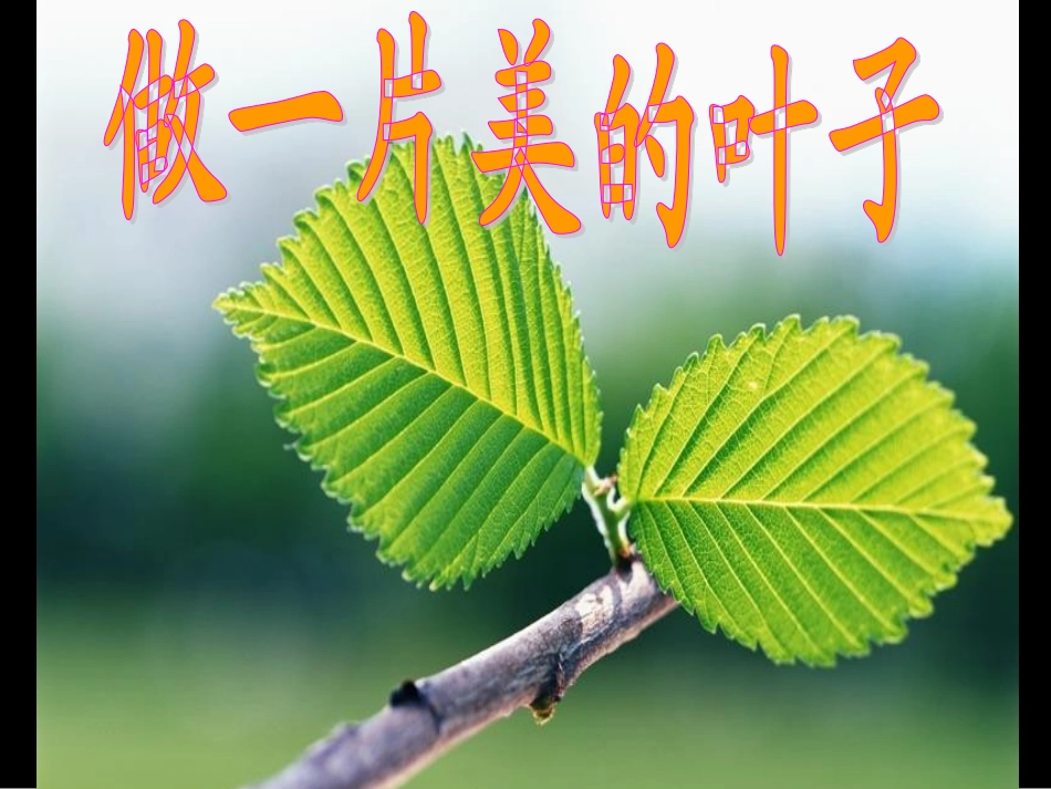 3、做一片美的叶子_第3页