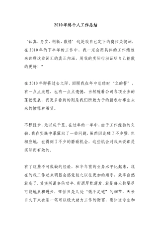 2010年终个人工作总结