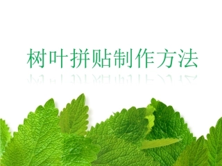 树叶拼贴制作方法
