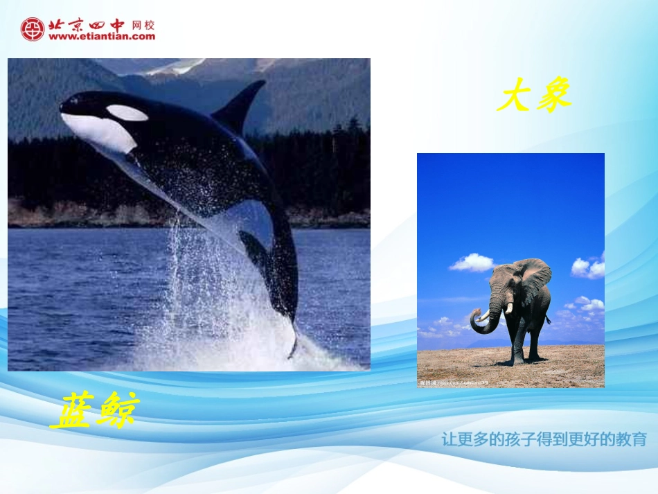 3.1建立一元一次方程模型_第2页