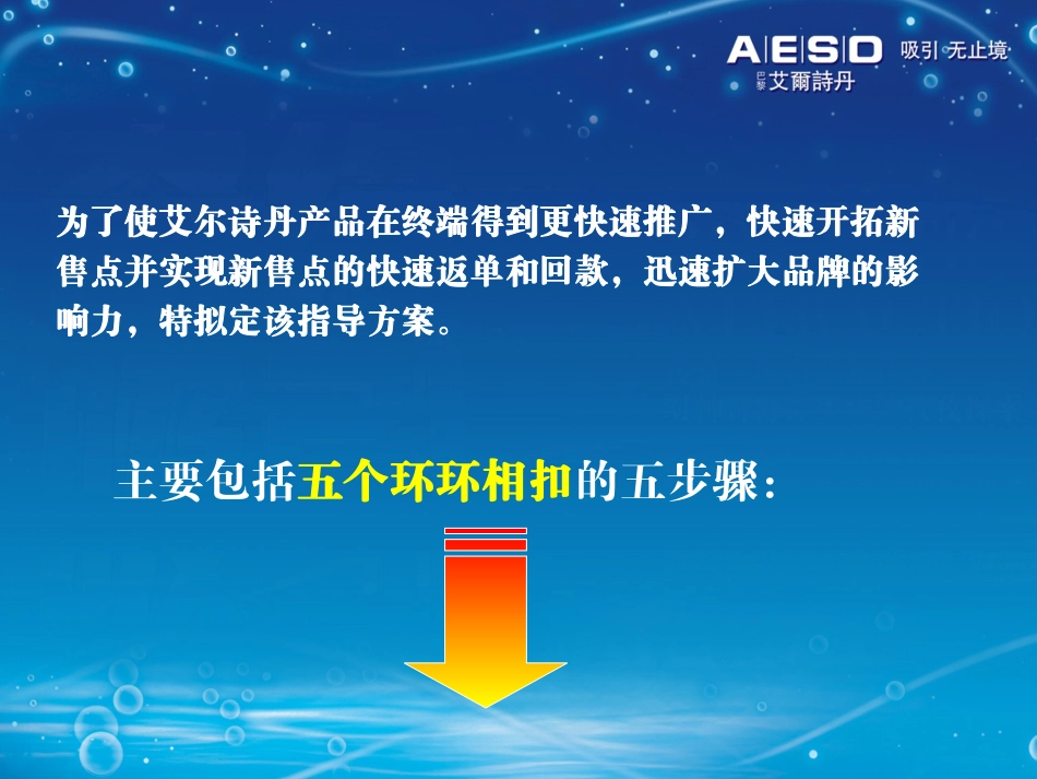 2010年艾尔诗丹全国新店快速返单指导方案(市场推广策略)_第2页