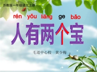 一年级上册《人有两个宝》课件
