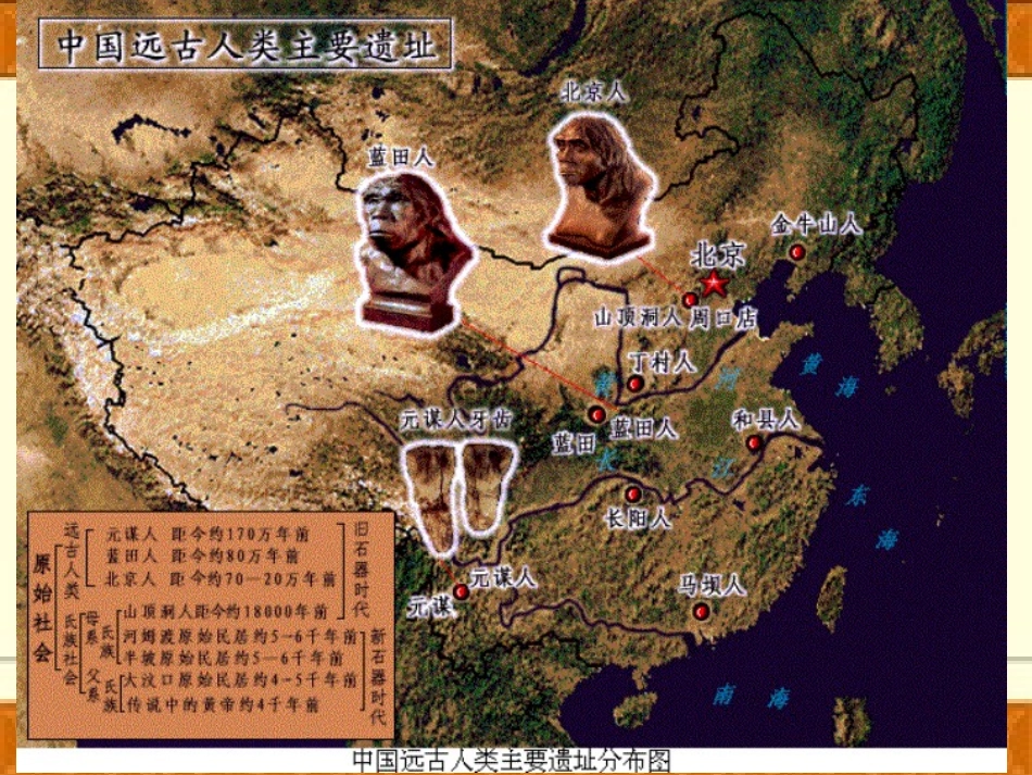 历史：1.1《中华大地的远古人类》课件(北师大版七年级上)_第3页