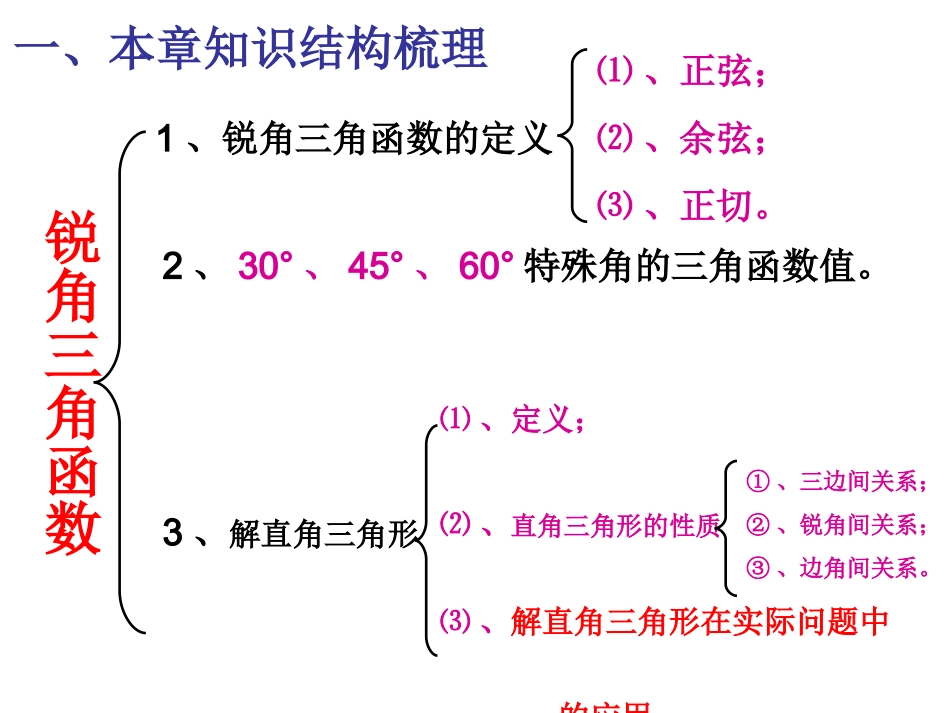 锐角三角函数复习_第2页