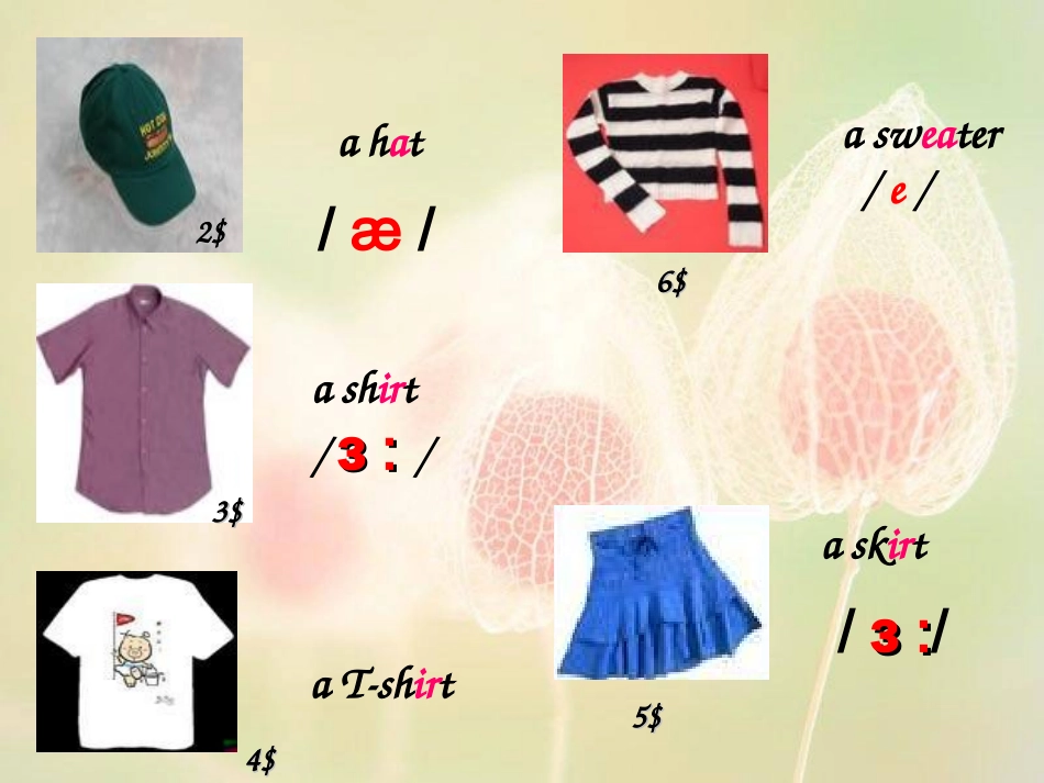 Unit7-How-much-are-these-pants_第2页