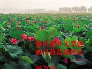 八年级语文-湖心亭看雪课件一