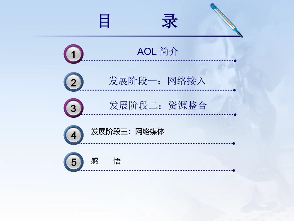 AOL美国在线运营分析_第2页