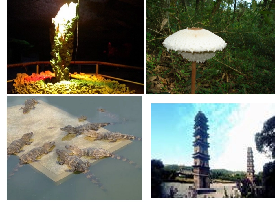 我的家乡怎样发展_第2页