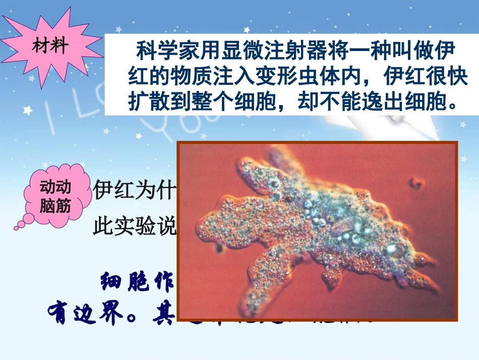 细胞膜——系统的边界_第1页