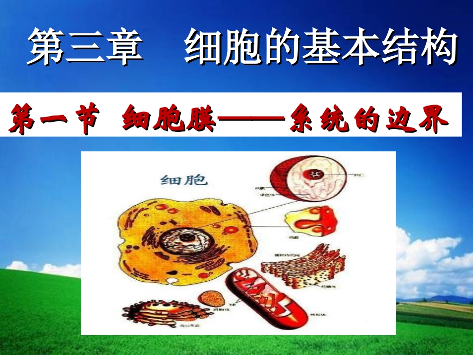 细胞膜——系统的边界_第2页