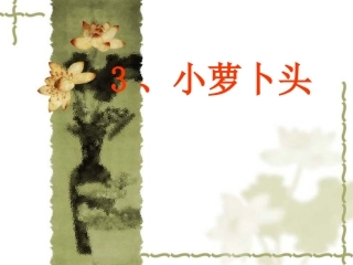 3、小萝卜头