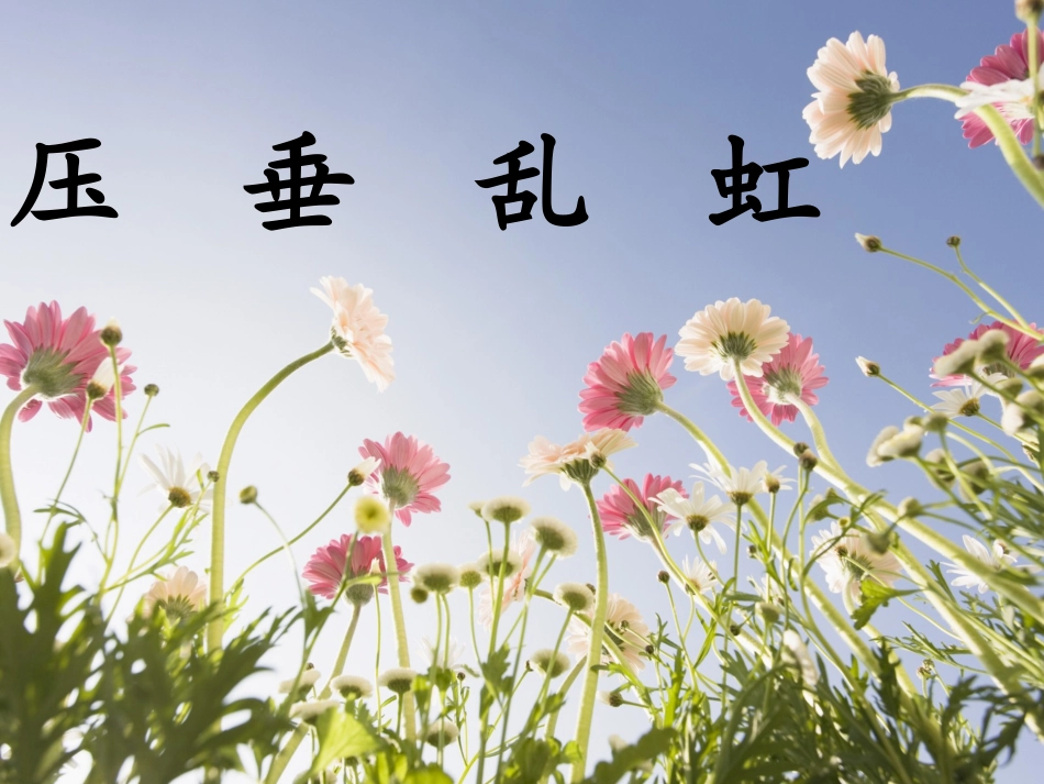 18雷雨第一课时_第2页