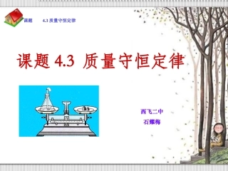 课件质量守恒定律.