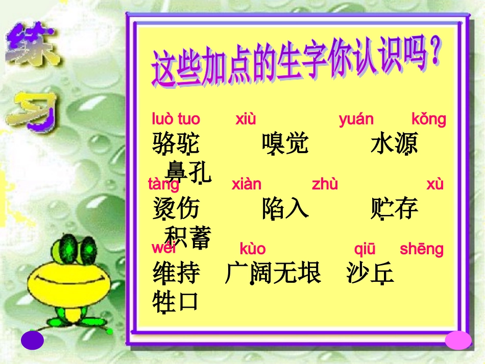 5.沙漠里的船课件_第2页