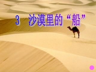 5.沙漠里的船课件