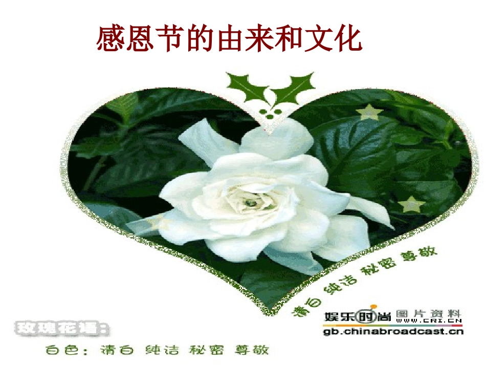 感恩节主题班会ppt课件--感恩世界_第2页