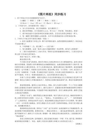 《图片两组》同步练习2
