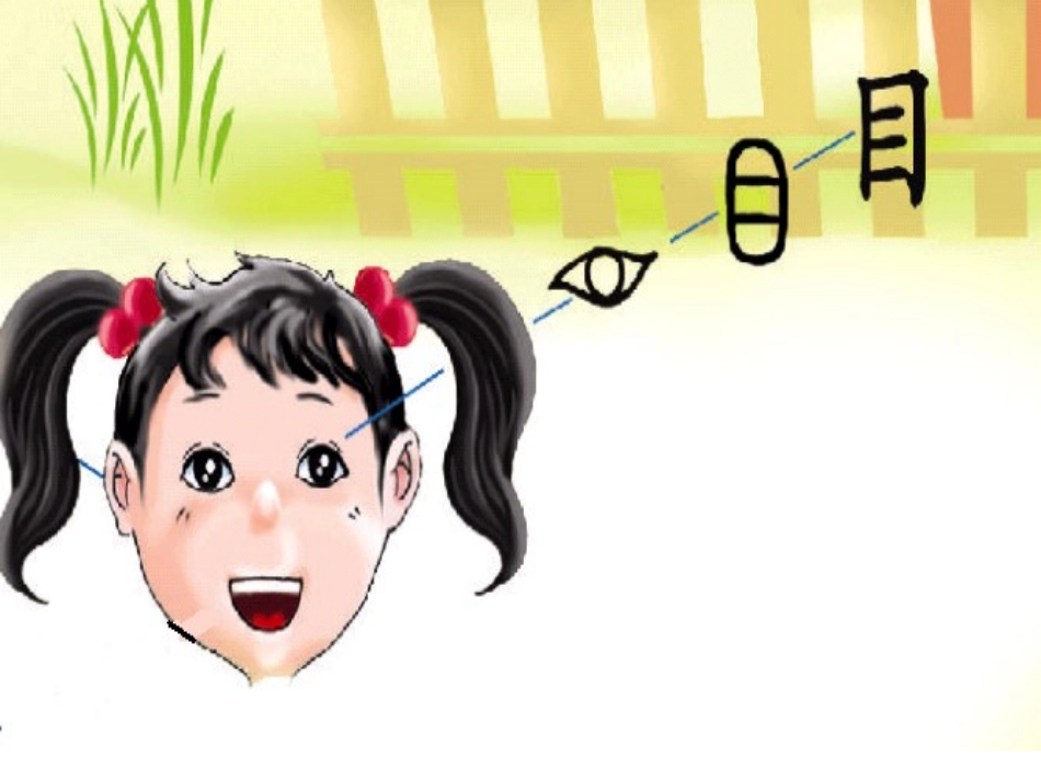 《观察人体识汉字》课件2_第2页