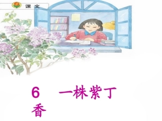 6.一株紫丁香