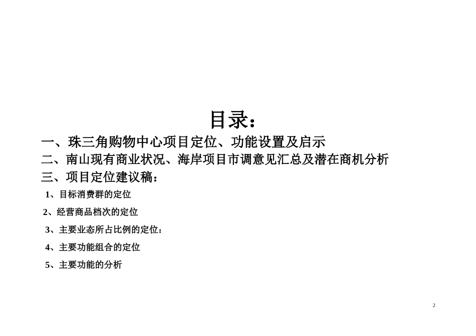 海岸商业广场经营定位方案_第2页